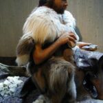 Animales cazados en la prehistoria, para coger pieles.