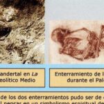 Animales pequeños y muertos que encontraban los paleolíticos