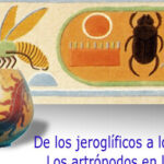 Cómo eran los insectos en la Prehistoria: una fascinante mirada