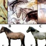 ¿Cuáles eran los animales más representados en las cavernas paleolíticas?