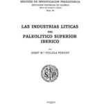 El Paleolítico Medio en la provincia de Albacete: un estudio revelador