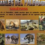 Especies que han visto desde el paleolítico: un recorrido histórico