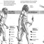 Evolución del hombre y su alimentación en la prehistoria: un análisis.