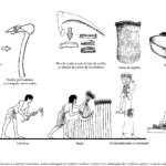 Extrañas herramientas del neolítico para la agricultura: ¿qué descubrieron?