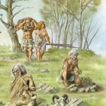 Fertilidad en campos y ganados: clave para la prehistoria.