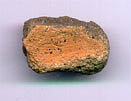 fragmento ceramica postalayotica