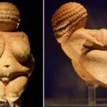 Las Venus paleolíticas: estatuillas femeninas asociadas al pasado ancestral