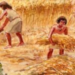 Neolítico: piedra para el trigo y harina, un cambio revolucionario