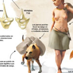 ¿Para qué servían los animales en el Neolítico?