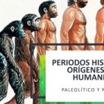 Qué homínidos del Paleolítico llevaban una vida sedentaria?
